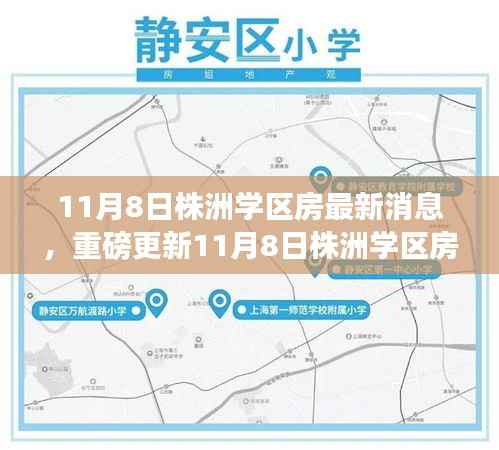 揭秘最新动态,株洲学区房最新消息与教育地产趋势展望