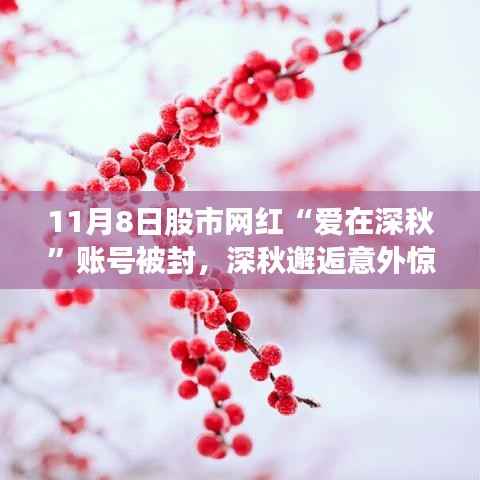 爱在深秋股市网红账号被封,与隐秘小巷特色小店深秋邂逅的意外惊喜