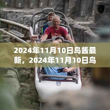探索未来科技与生态交融之美,鸟酱最新资讯2024年11月10日