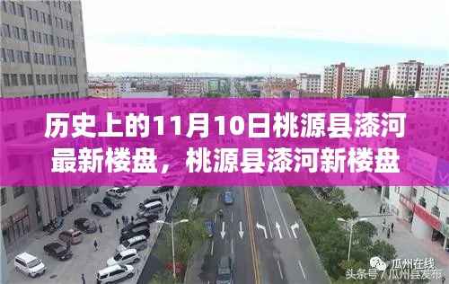 历史视角下的桃源县漆河最新楼盘深度探析,11月10日楼盘更新概览