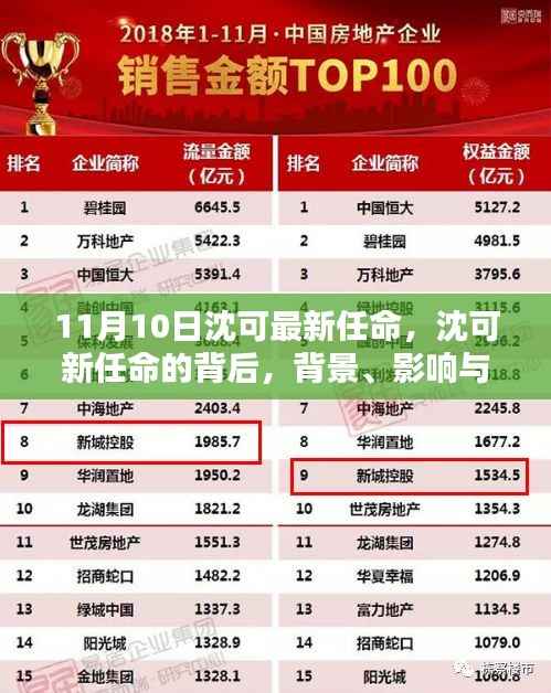 沈可新任命的背后,背景、影响与时代地位分析(最新更新)