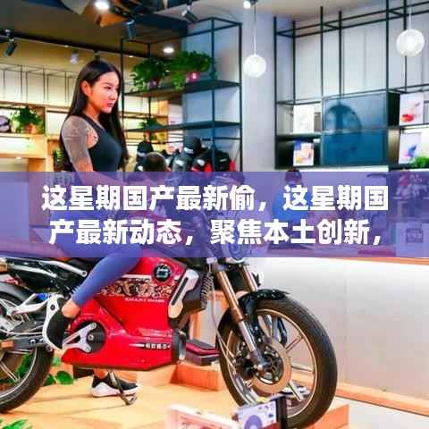 本周国产最新动态聚焦,本土创新动态与产业新动向的洞悉