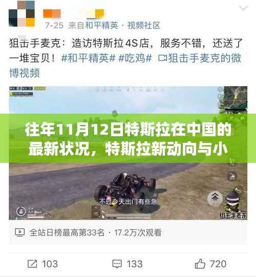 特斯拉中国最新动态揭秘,新进展与小巷深处的独特体验