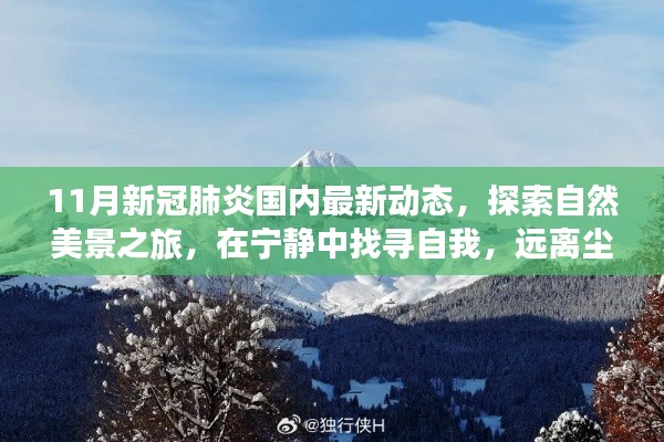 业绩展示 第252页