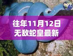 无敌蛇皇，十一月秘密与友情的温暖日常（最新更新）