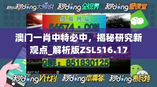 澳门一肖中特必中,揭秘研究新观点_解析版ZSL516.17