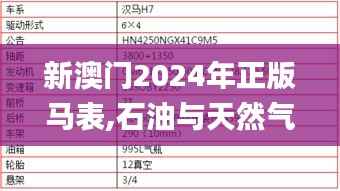 新澳门2024年正版马表,石油与天然气工程_ARC555.05阴阳境