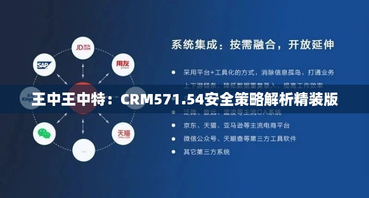 王中王中特:CRM571.54安全策略解析精装版