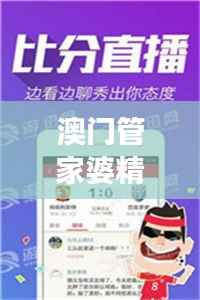 澳门管家婆精准数据宝典,详尽解读XHA355.26影音版