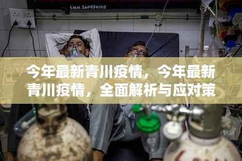 今年最新青川疫情全面解析与应对策略,全面关注,科学防控