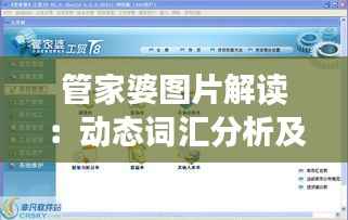 管家婆图片解读:动态词汇分析及ELB243.34版本特色