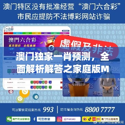 澳门独家一肖预测,全面解析解答之家庭版MWJ598.45