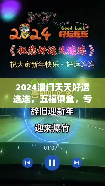 2024澳门天天好运连连,五福俱全,专业处理问题快速版CKJ704.03