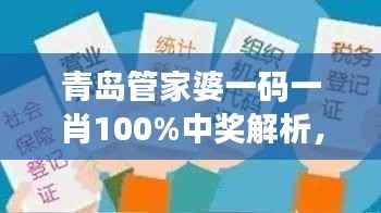 青岛管家婆一码一肖100%中奖解析,HIM728.76社交版状况评估