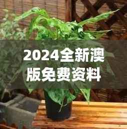 2024全新澳版免费资料集,植物防护秘籍——九天太仙FLQ414.11