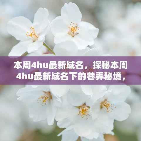 探秘本周4hu最新域名下的巷弄秘境,隐藏小店独特环境大揭秘