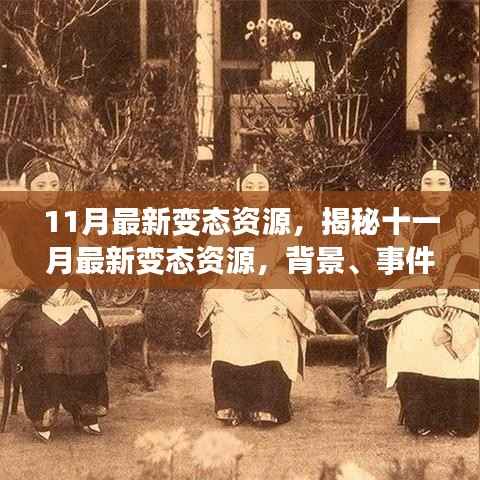 揭秘十一月最新变态资源,背景、事件、影响与时代地位全面解析