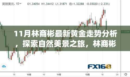 林商彬黄金走势分析与自然美景探索,黄金与心灵的对话
