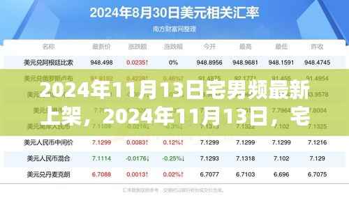 2024年11月13日宅男频全新上架，引领娱乐潮流之巅