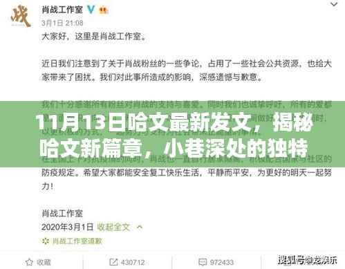 哈文揭秘隐藏版特色小店，小巷深处的独特风味等你来探秘