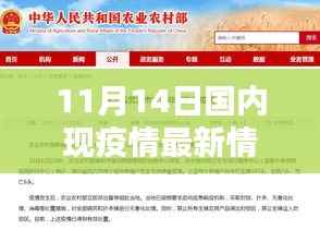 11月14日国内疫情最新情况及评测分析