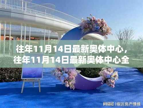 往年11月14日奥体中心全面评测与介绍,最新动态及场馆特色展示
