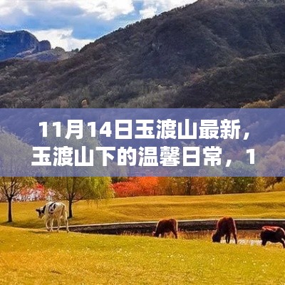 玉渡山下的温馨日常,11月14日的欢乐时光记录