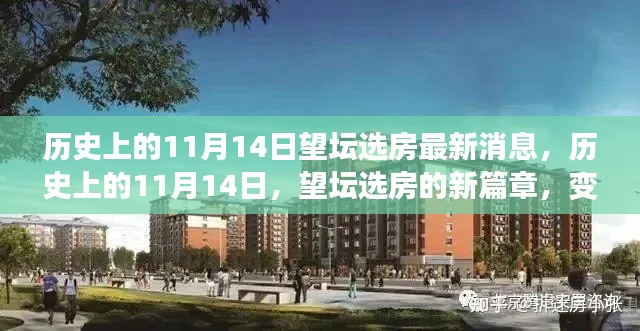 历史上的11月14日,望坛选房新篇章开启,变化成就奇迹之旅的最新消息