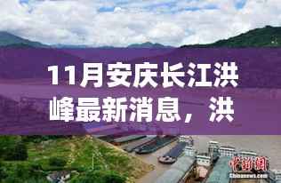 安庆长江洪峰过境，温馨日常与深厚友情的见证