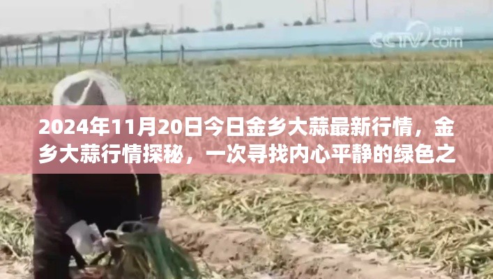 业绩展示 第191页