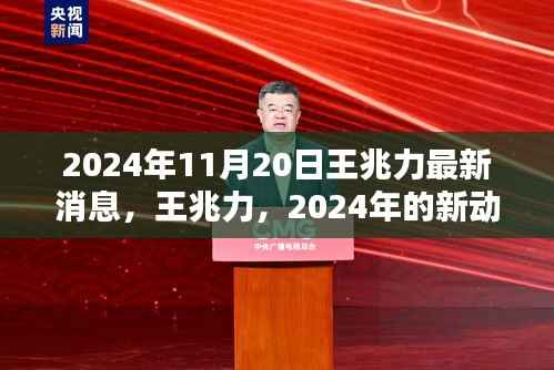 王兆力最新动向与时代印记,2024年展望