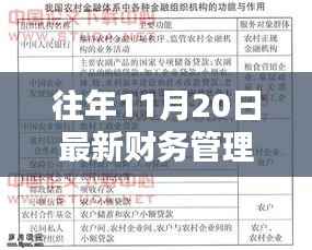 往年11月最新财务管理制度范本及小巷特色小店探秘，揭示独特魅力与制度范本大全
