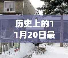历史上的11月20日,小房子的温馨日常与友情纽带纪事