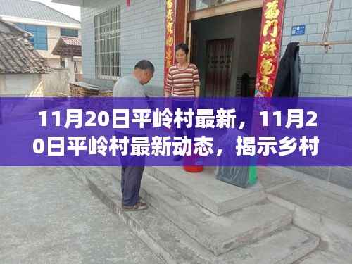 11月20日平岭村最新,11月20日平岭村最新动态,揭示乡村发展的时代脉搏