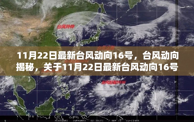 11月22日最新台风动向深度解析与观点分享,台风动向揭秘关于台风16号的影响分析