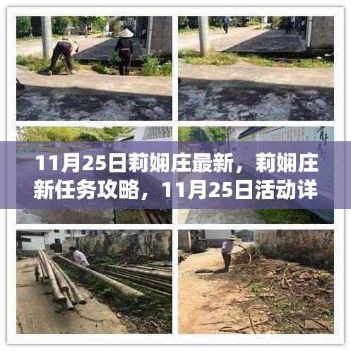 莉娴庄新任务攻略与活动详解,11月25日指南,提升技能全解析