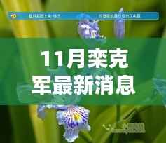 栾克军最新动态评测,特性、体验、竞品对比与用户分析