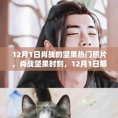 肖战坚果时刻,12月1日令人心动的瞬间与热门照片回顾