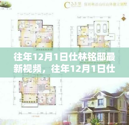 往年12月1日仕林铭邸最新视频及其深度解析概述