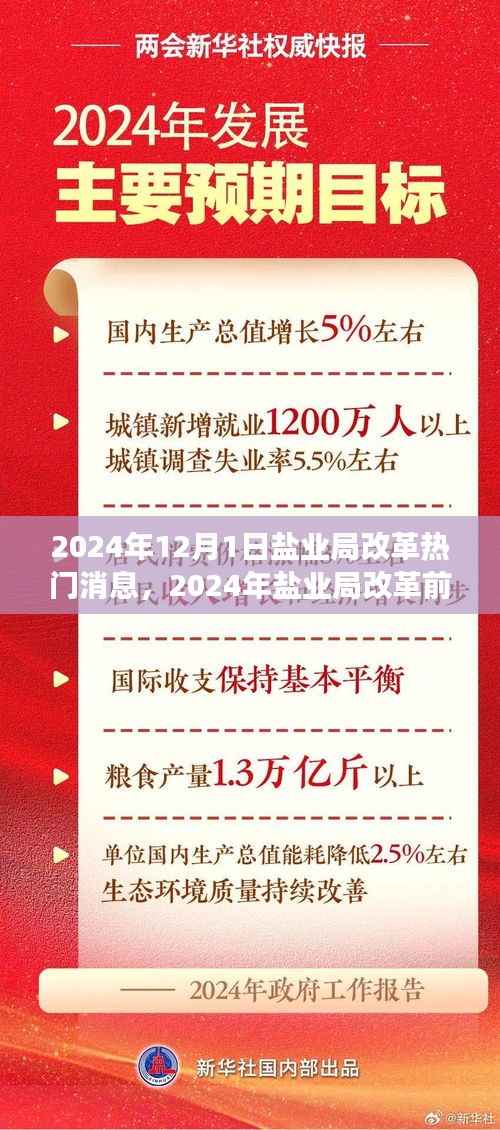 盐业局改革前沿动态,创新策略与未来展望(2024年盐业局改革热门消息)