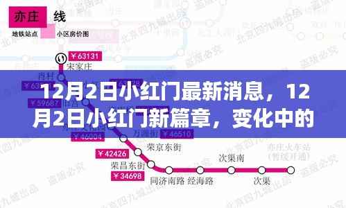 政策法规 第175页