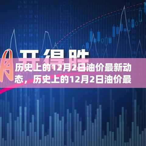 揭秘油价波动背后的故事，历史上的油价动态回顾与探寻