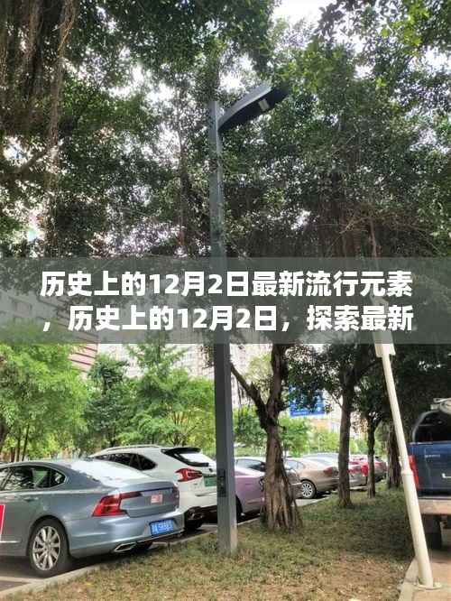 历史上的12月2日,探索最新流行元素的详细指南与趋势观察