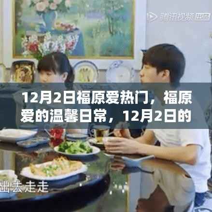 福原爱,温馨日常中的意外惊喜与友情力量,12月2日的聚焦时刻