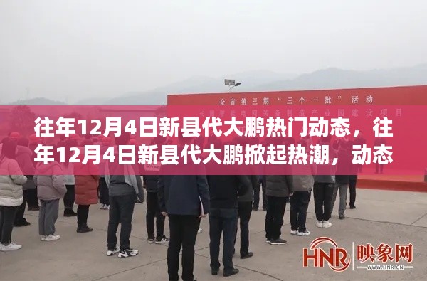 往年12月4日新县代大鹏,热门动态回顾与未来前瞻,掀起热潮的焦点时刻