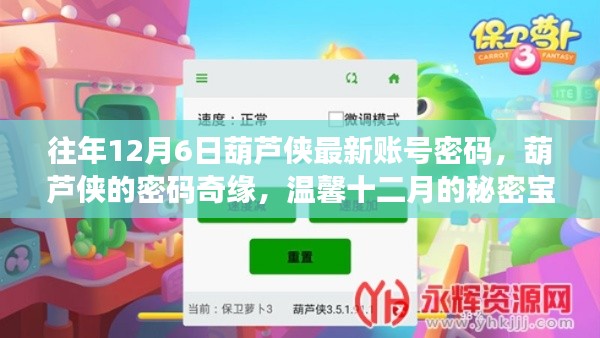 葫芦侠密码奇缘,十二月秘密宝藏揭秘