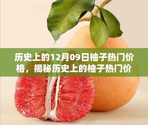 揭秘柚子历史价格,柚子价格查询全攻略(适合初学者与进阶用户)