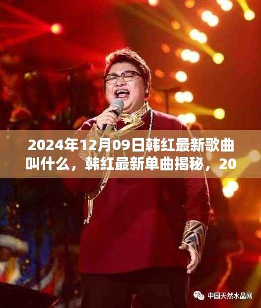 韩红最新单曲揭秘与全面测评,2024年12月09日之作