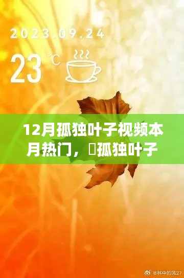 十二月孤独叶子视频,绿色之旅探寻内心平静