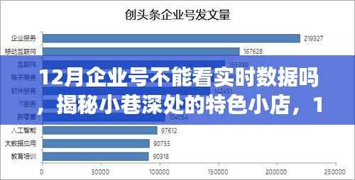 揭秘12月企业号实时数据,小巷特色小店的奇幻数据之旅